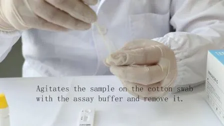 Dispositif de détection de virus infectieux à usage humain nouveau kit de test de diagnostic rapide d'antigène de nouvelle maladie