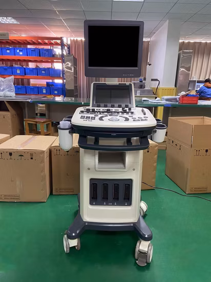Système de diagnostic par ultrasons 4D Color Trolley